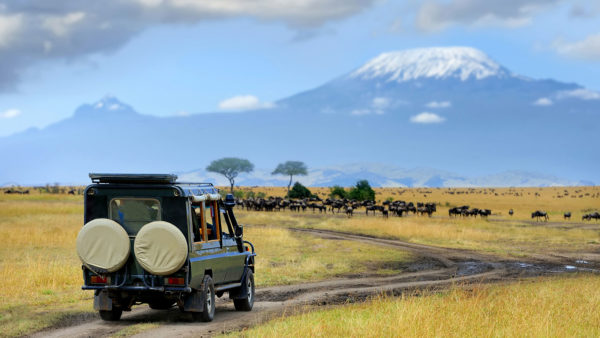 東非-馬賽馬拉國家公園 遊獵