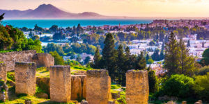 突尼西亞-迦太基-Site of Carthage