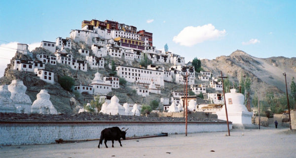 拉達克｜世界屋脊—藏族佛教的文化精隨