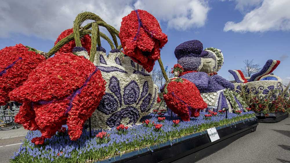 На выставке цветов был сделан. Парк Кекенхоф и парад цветов в Голландии. Фестиваль тюльпанов Кекенхоф. Нидерланды парк цветов Кейкенхоф 2020. Цветочный фестиваль Bloemencorso в Нидерландах.