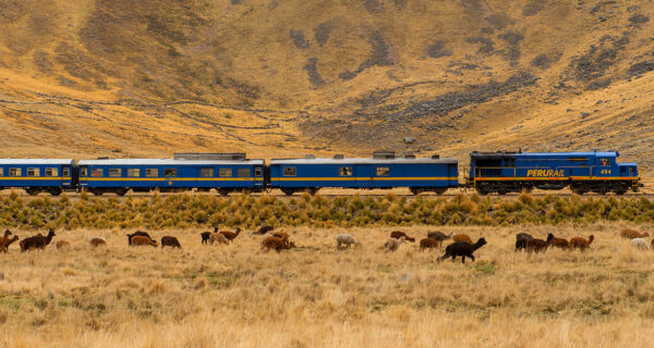 前進秘魯安地斯山脈｜搭乘The Perurail Titicaca Train 心自慢~遊