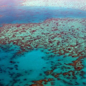 澳洲大堡礁_great-barrier-reef-261720_1280