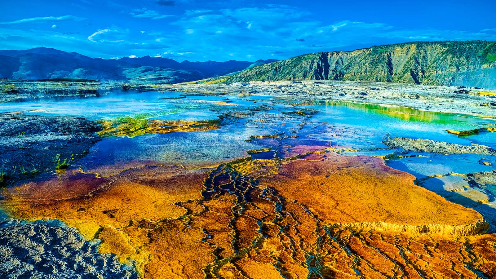 百夫長旅遊_美洲_美國黃石公園猛瑪溫泉區Yellowstone-National-Park-Mammoth-Hot-Springs-shutterstock_302792030-M