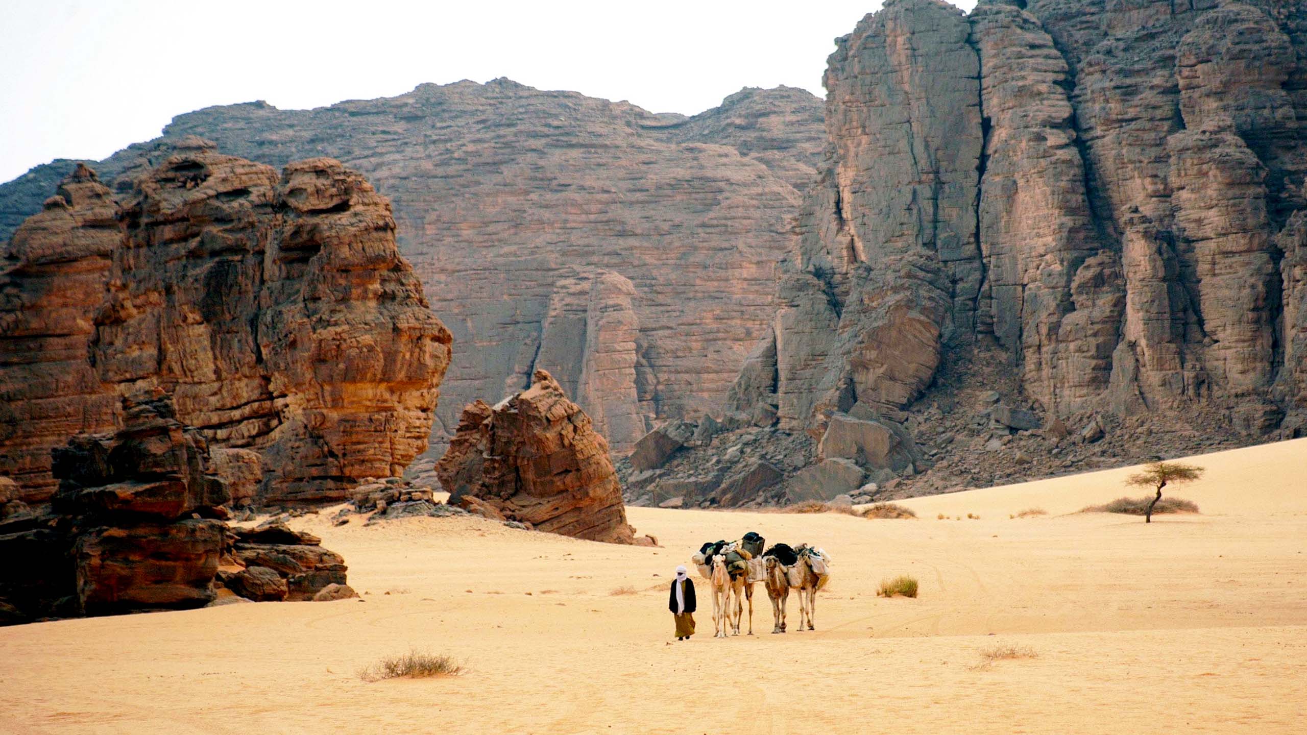 百夫長旅遊_非洲_阿爾及利亞圖庫_塔西利納傑爾高原（Tassili n'Ajjer）