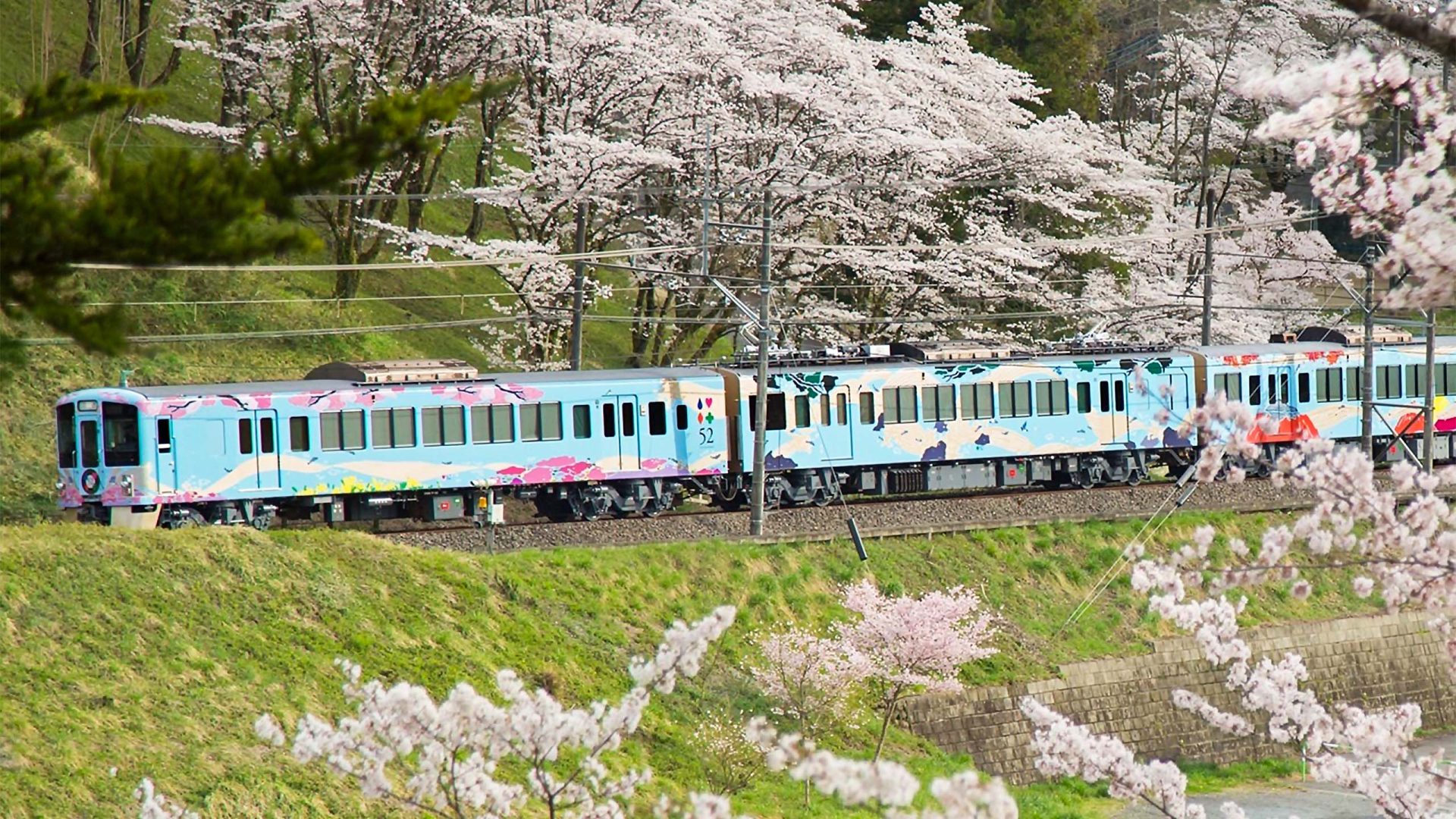 日本關東｜至福雙鐡賞櫻—地方創生．自然共生