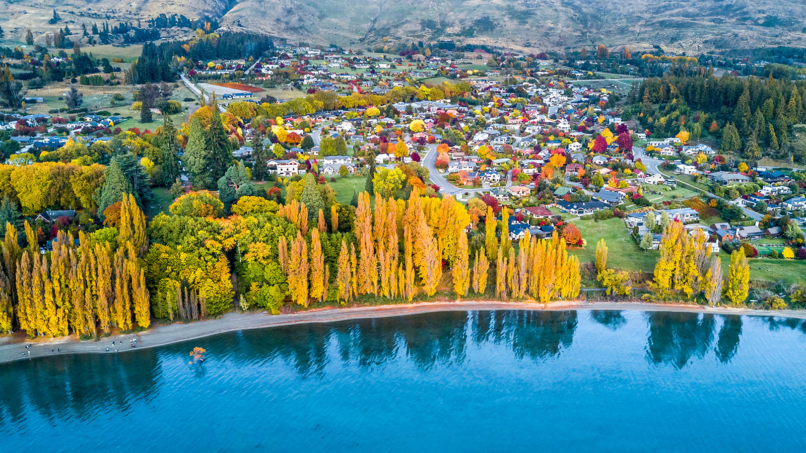 百夫長旅遊_大洋洲_紐西蘭_基督城Christchurch_shutterstock_1398104549-1600X900