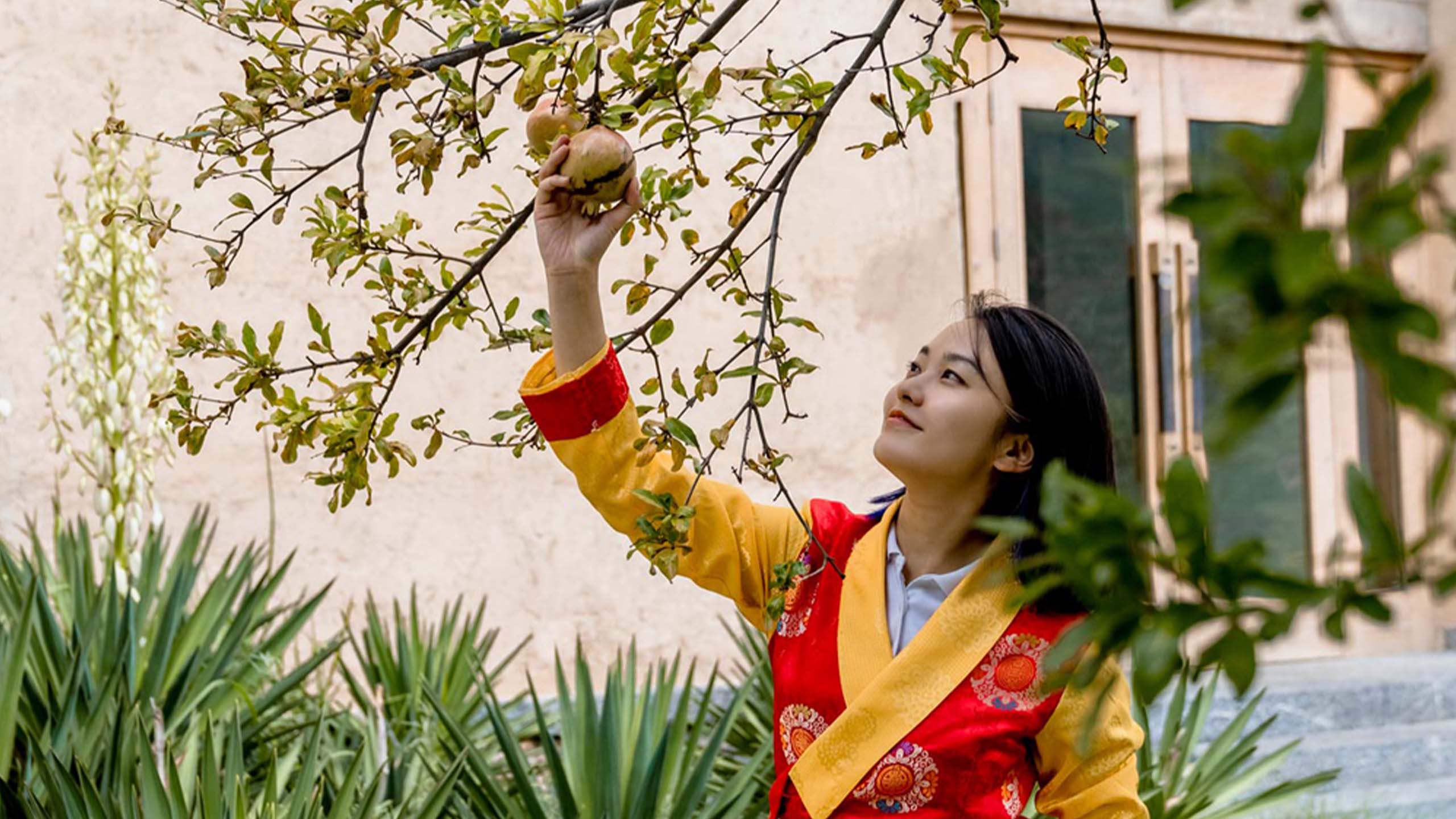 百夫長旅遊_亞洲_中國_在地體驗師2