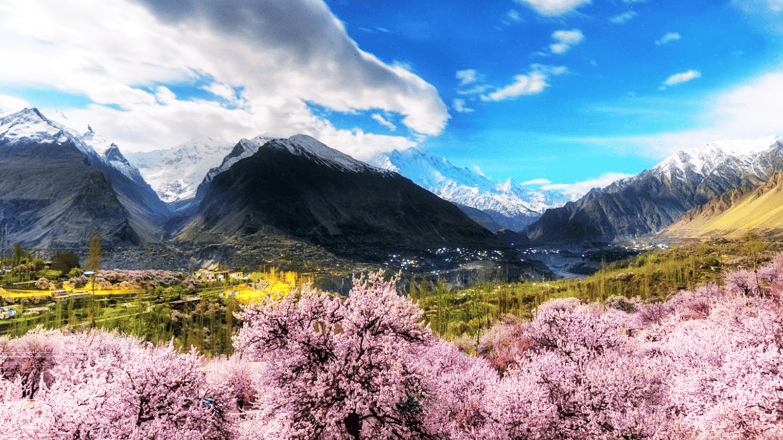 百夫長旅遊_亞洲_巴基斯坦_春季賞花4
